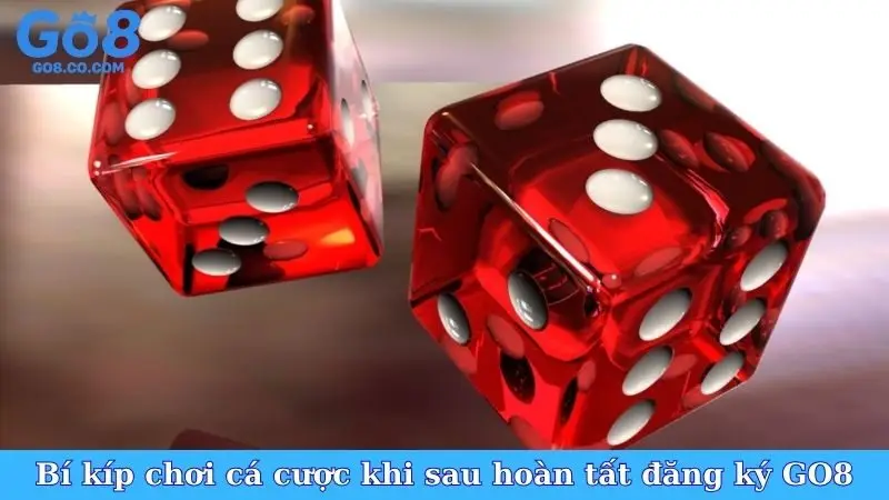Bí kíp chơi cá cược khi sau hoàn tất đăng ký GO8